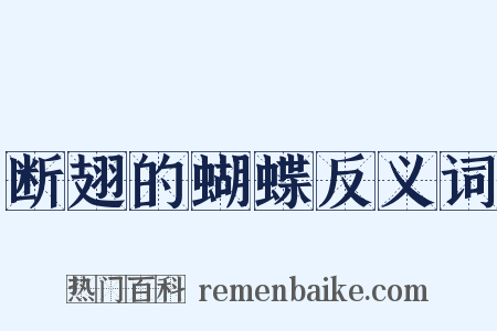 断翅的蝴蝶反义词是什么意思的图片